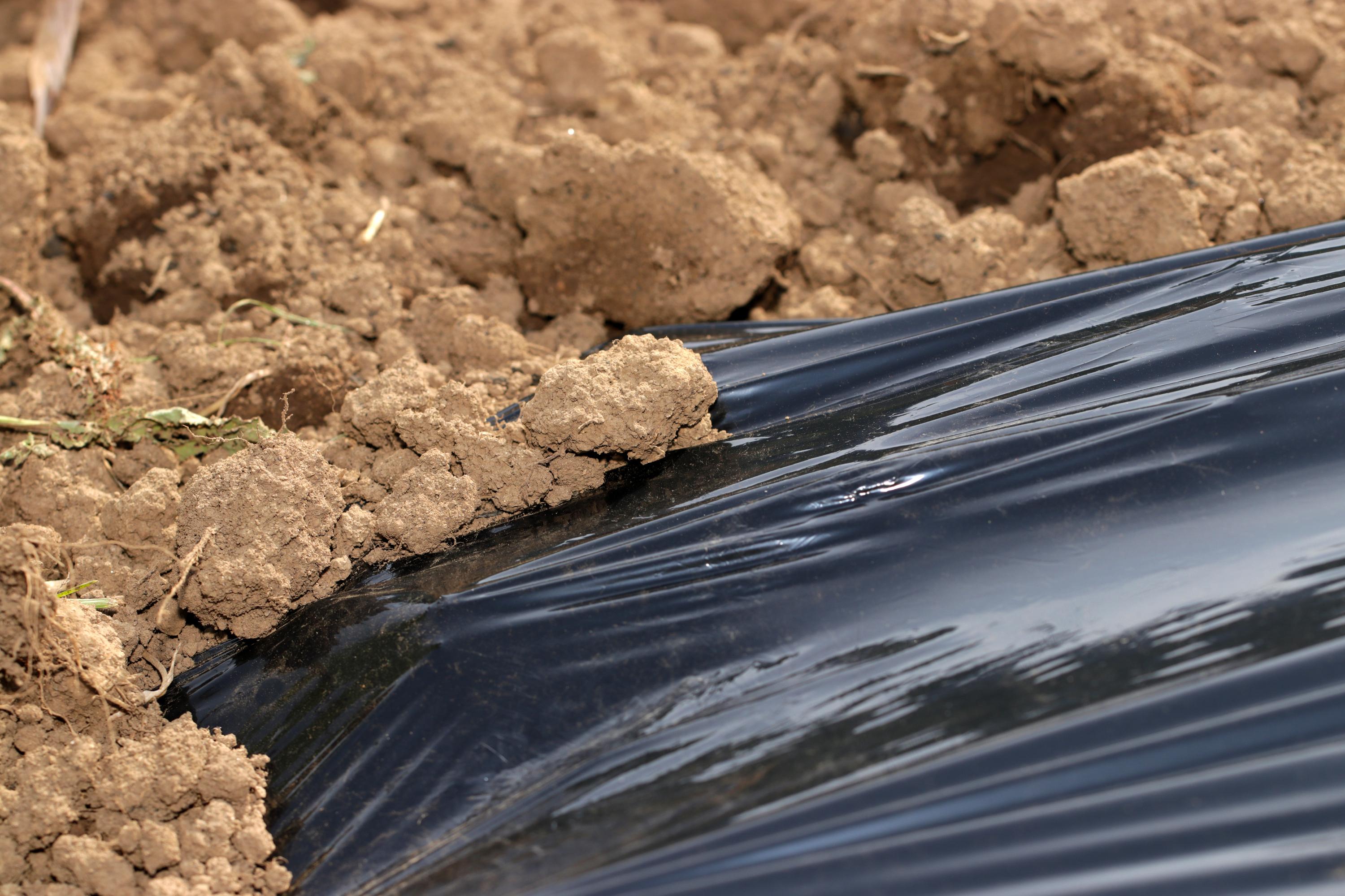 農業用養生シート
